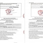 Tinh chất phục hồi tóc hư tổn Serum Argan Oil Anlacos